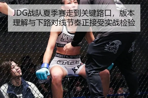 JDG战队夏季赛走到关键路口，版本理解与下路对线节奏正接受实战检验